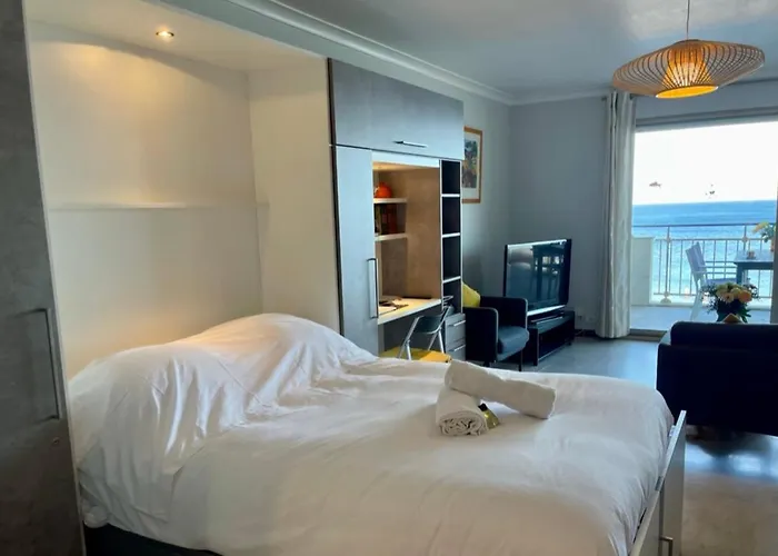 Seafront One Bedroom With A Terrasse Swimming Pool And A Parking * Antibes